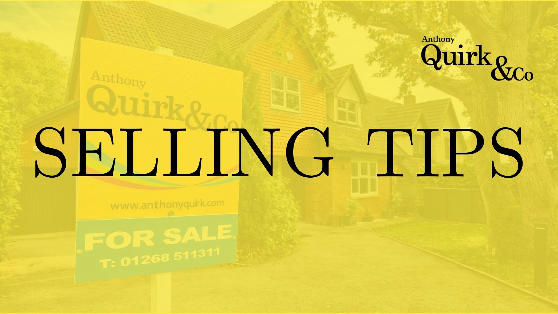 Full width project banner image