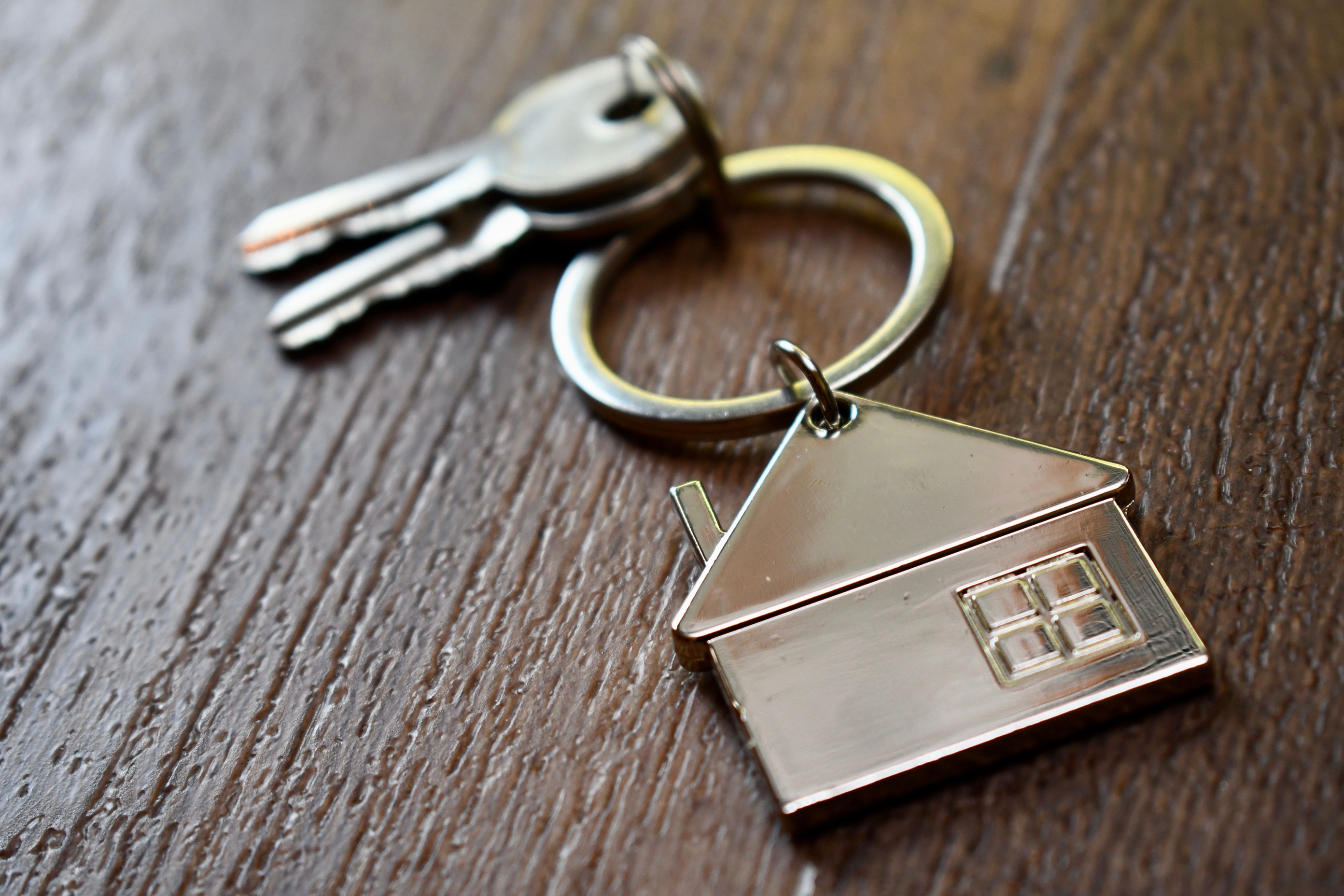 Full width project banner image