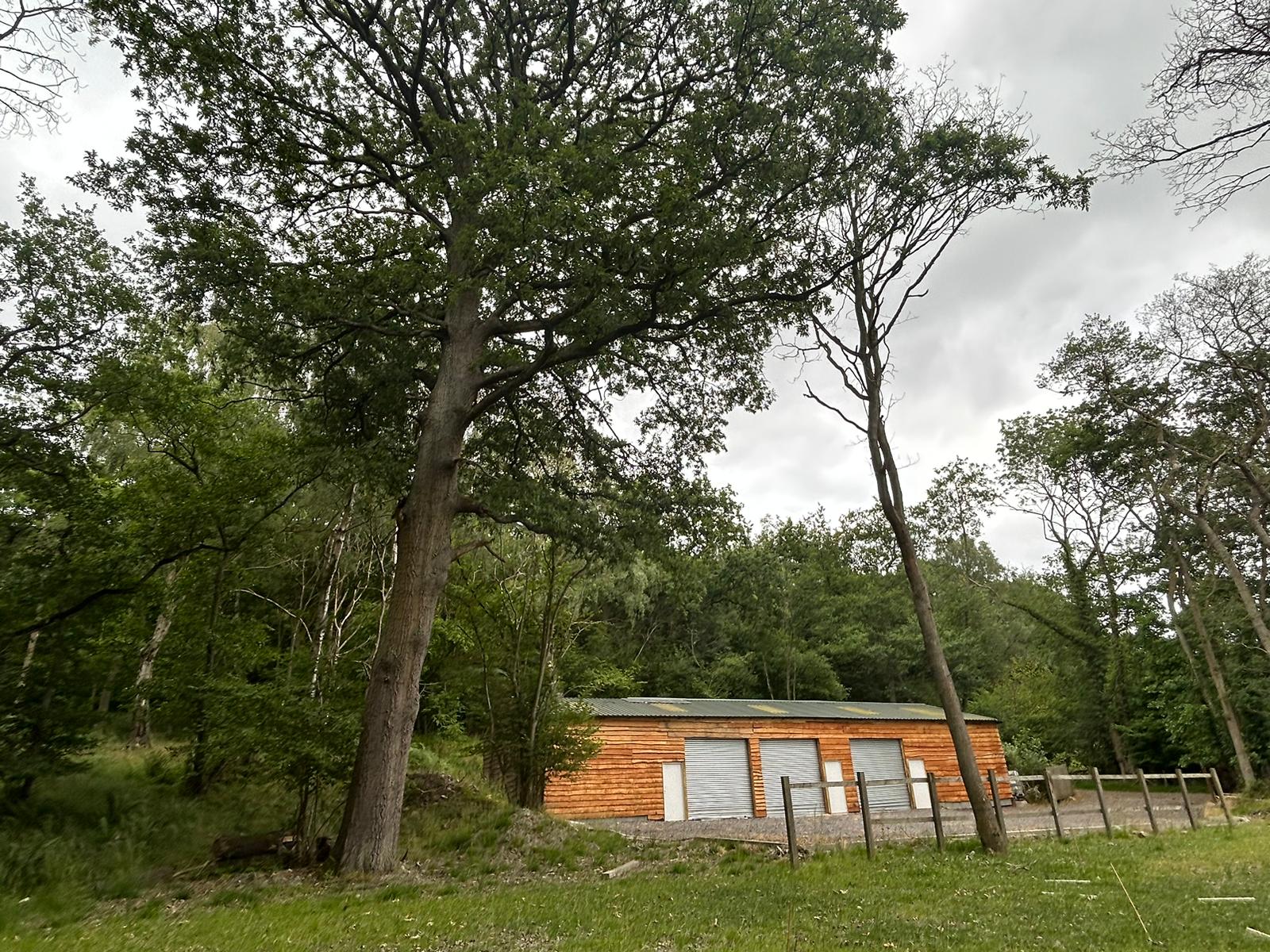 Testimonial featured image