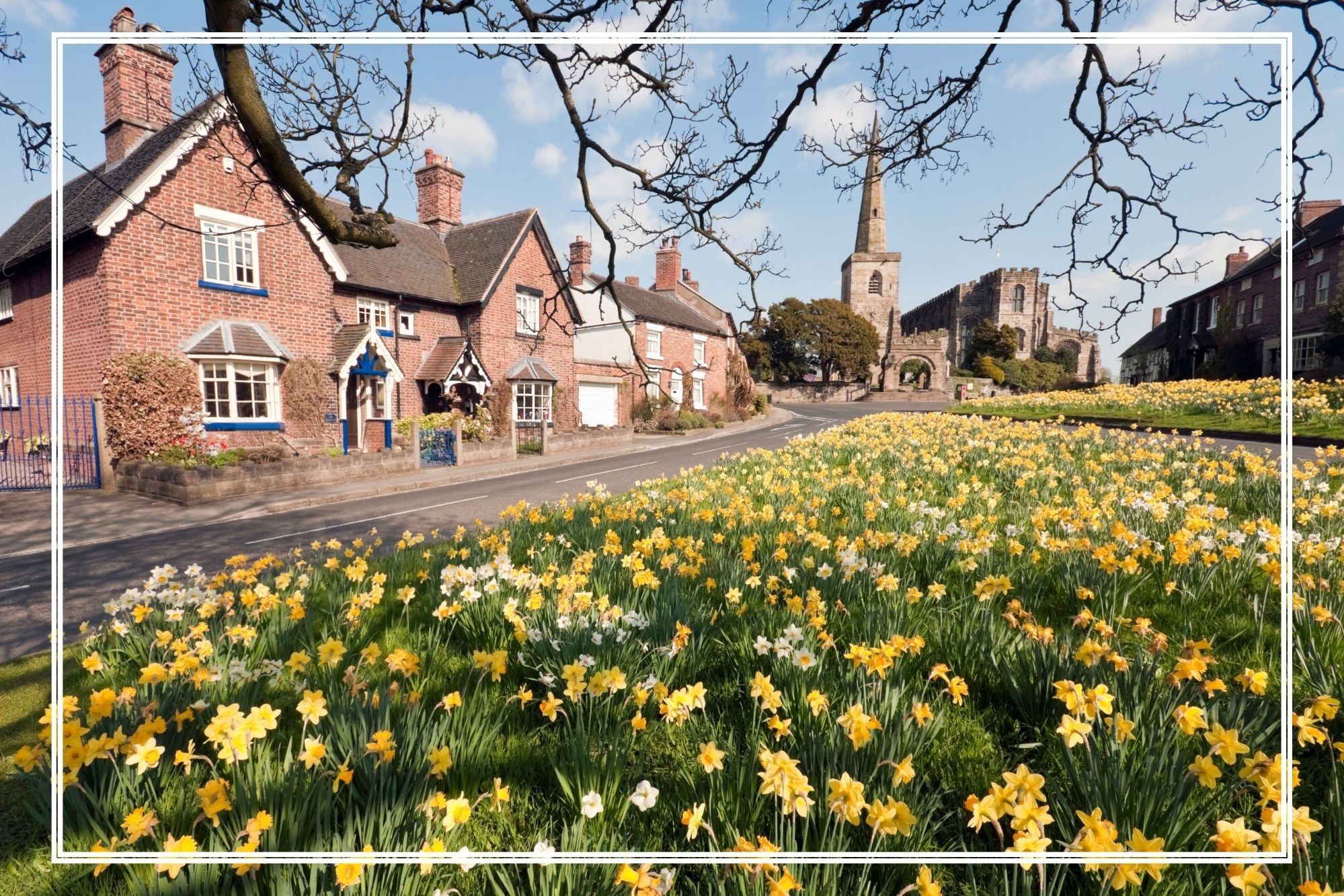 Blog post card image