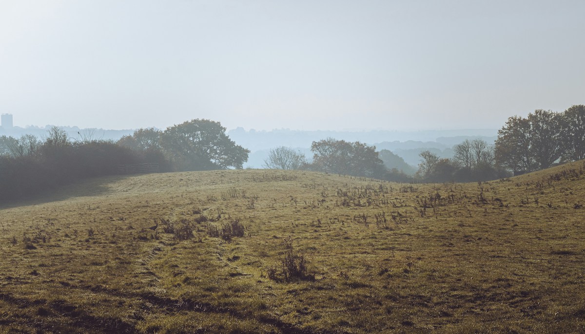 Full width project banner image