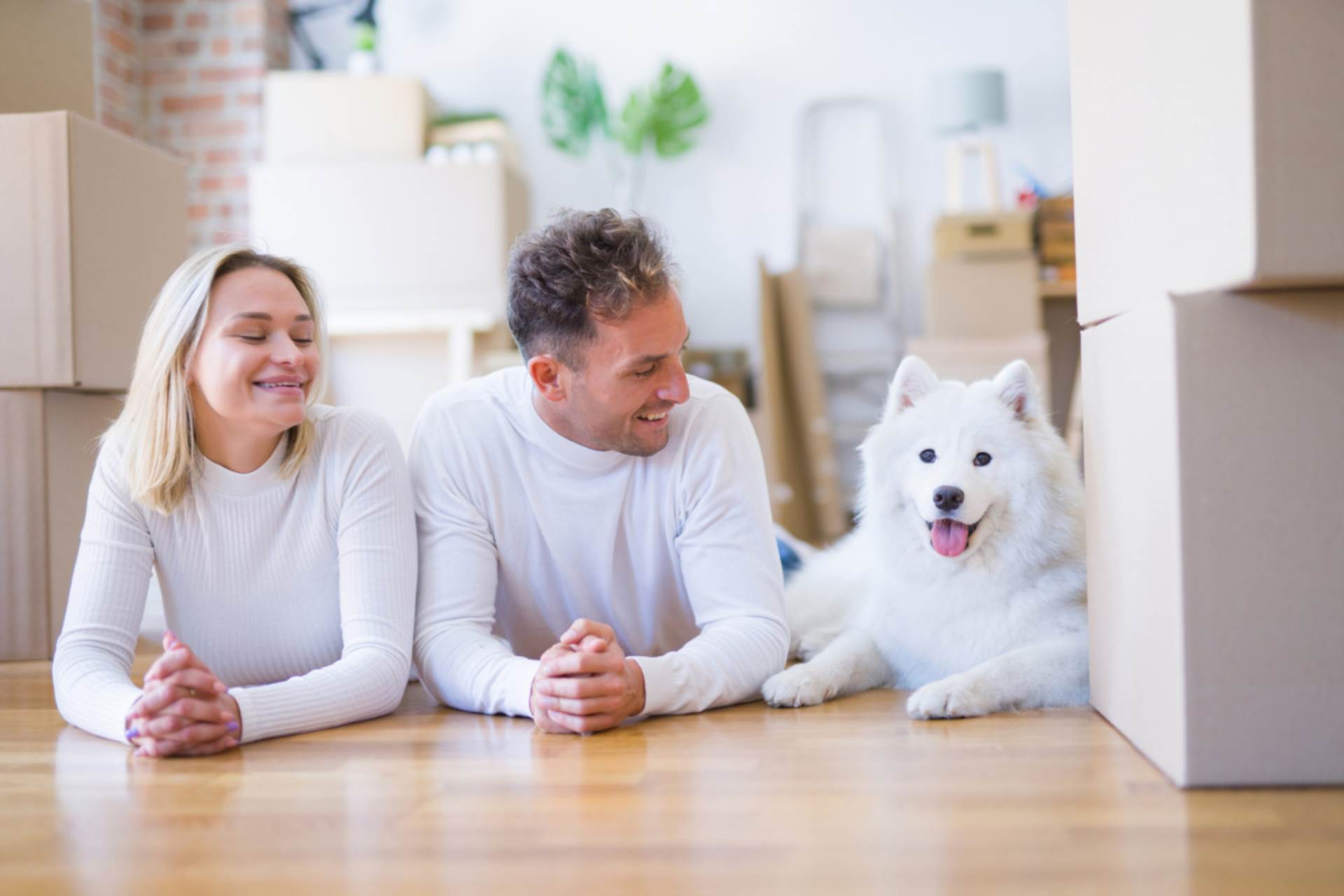 Blog post card image