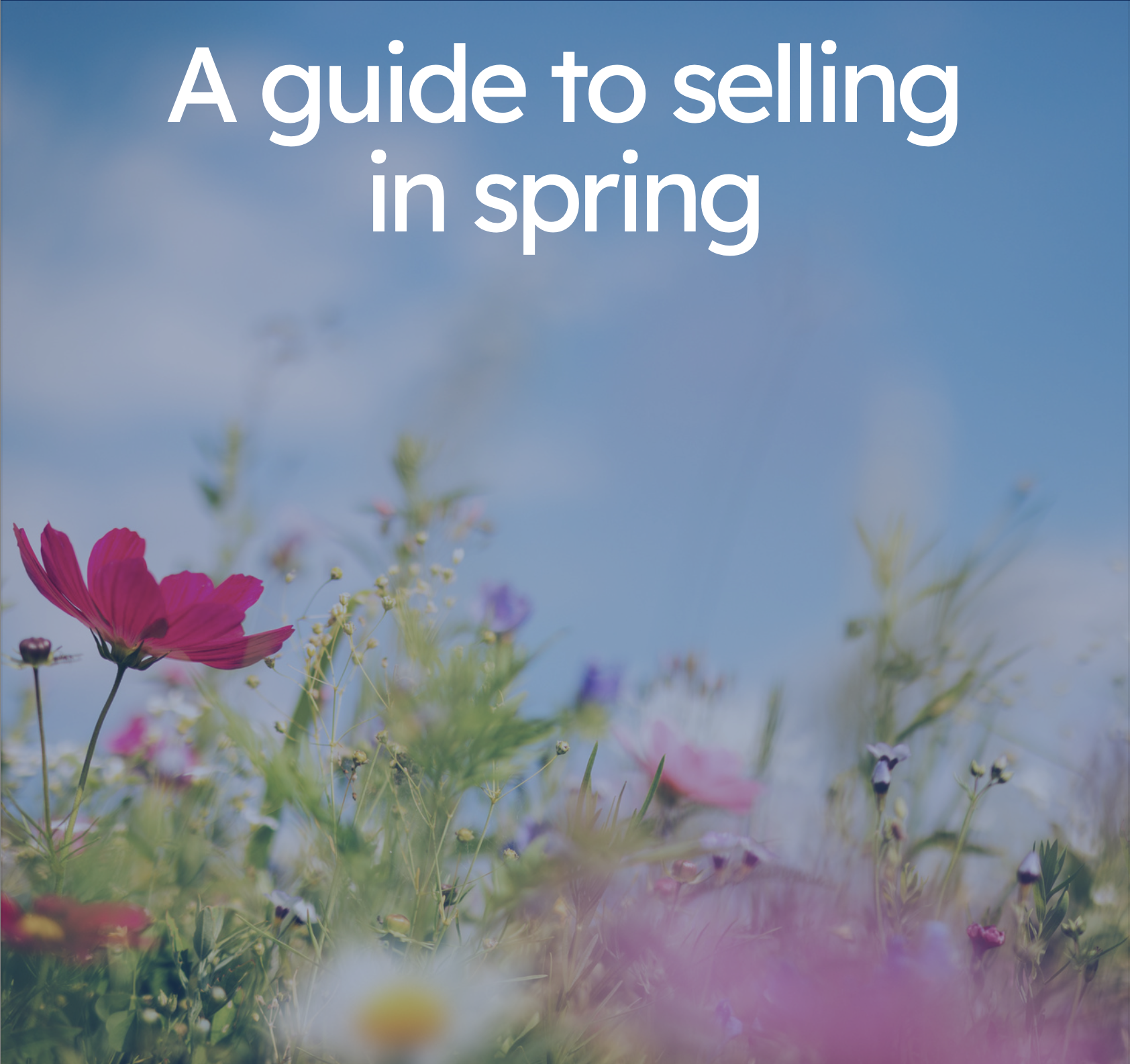 A Guide to Selling in Spring