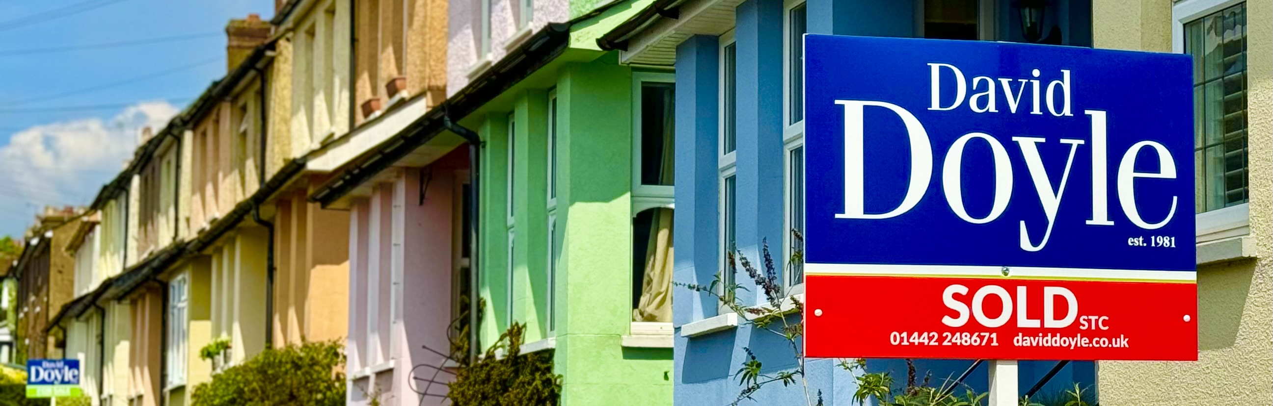 Full width project banner image