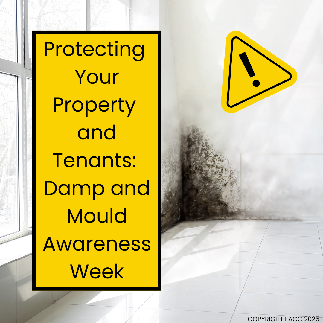 Blog post card image