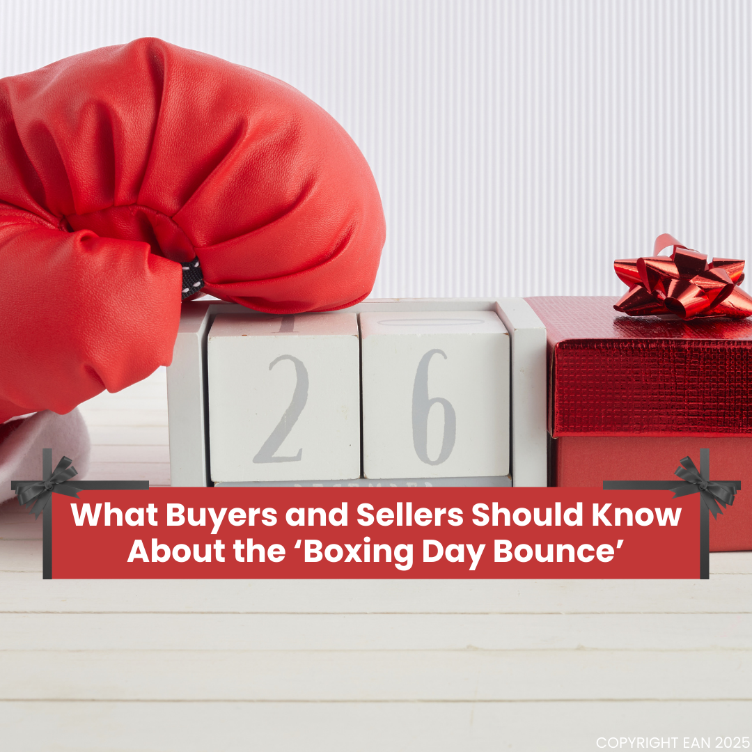 Full width project banner image