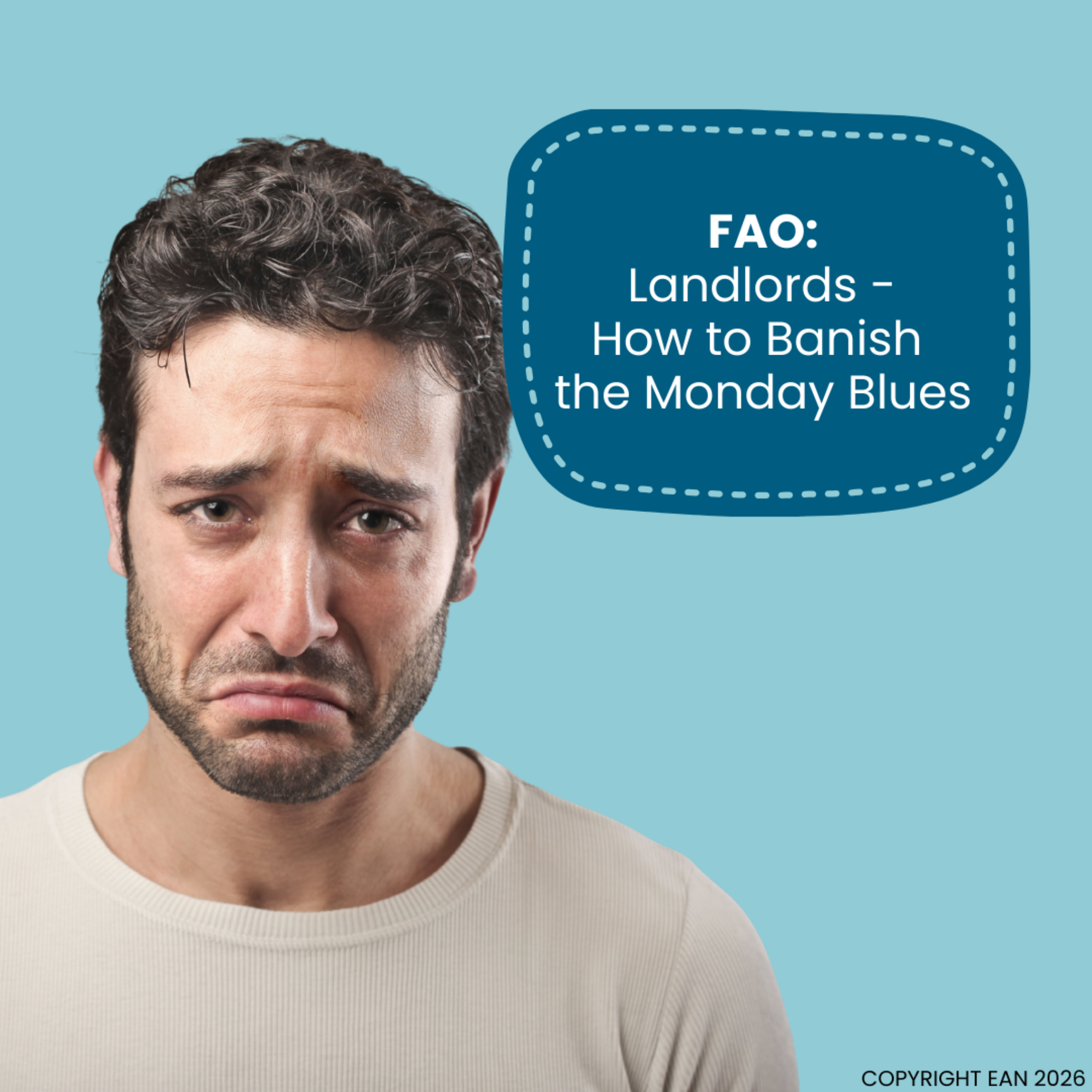 Full width project banner image