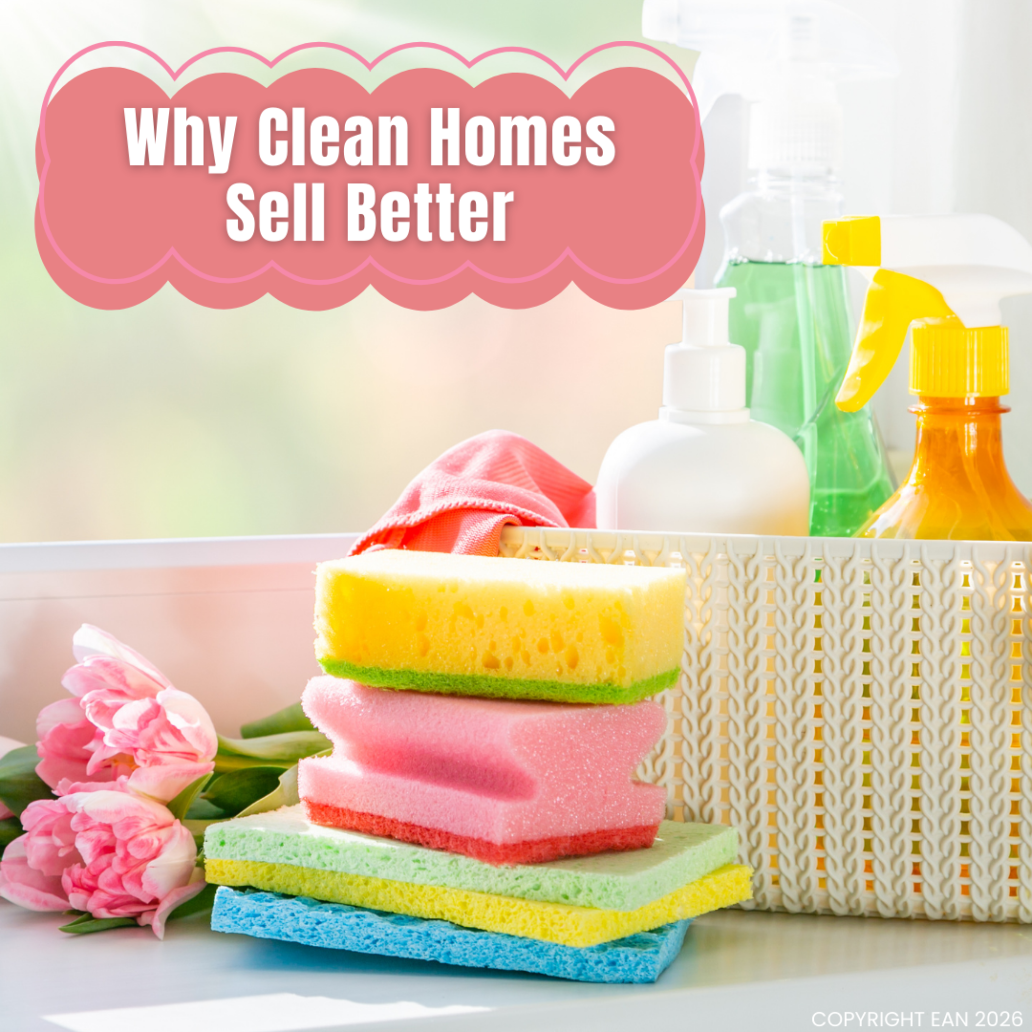 Blog post card image