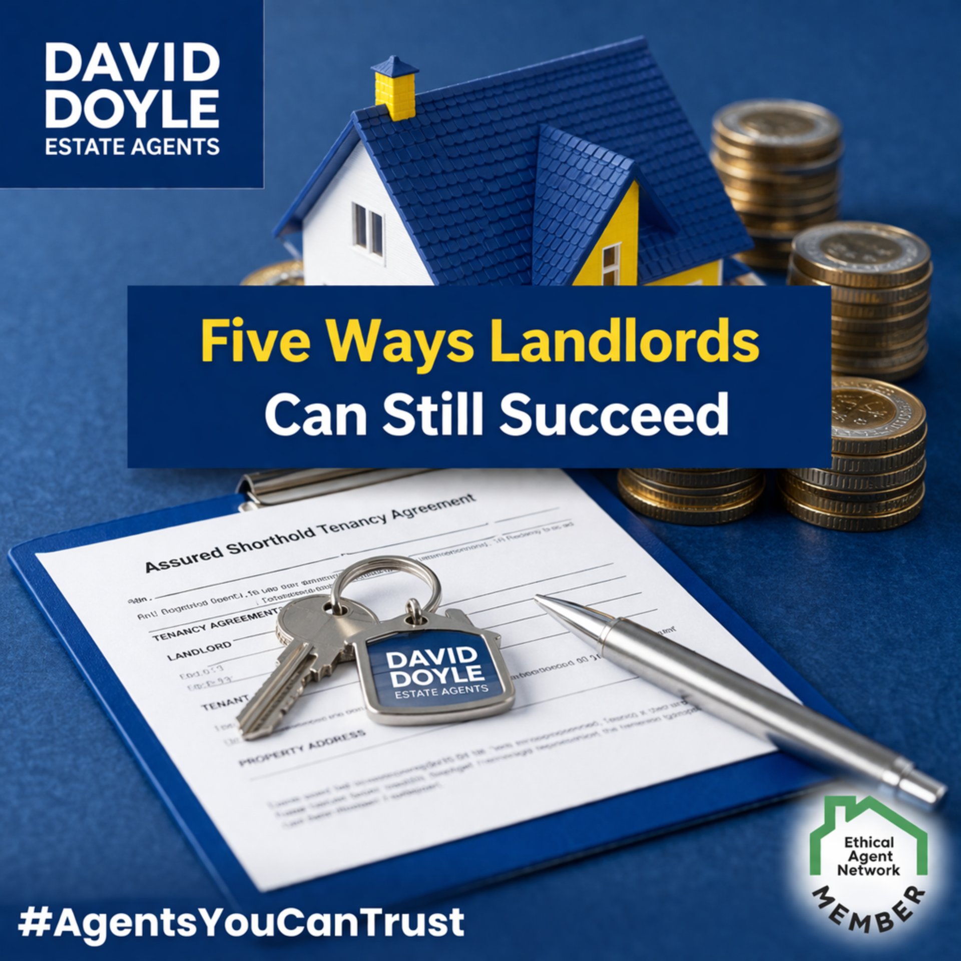 Full width project banner image