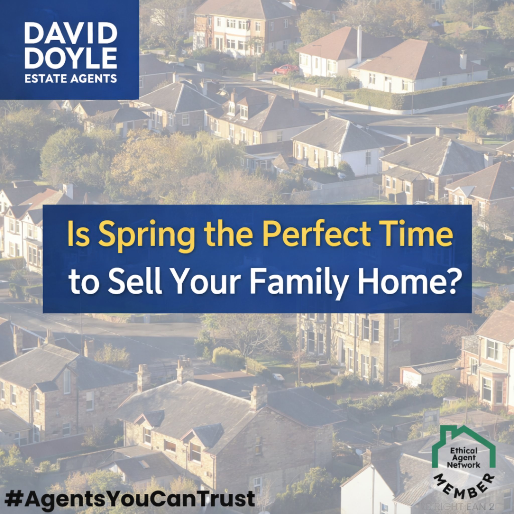 Full width project banner image