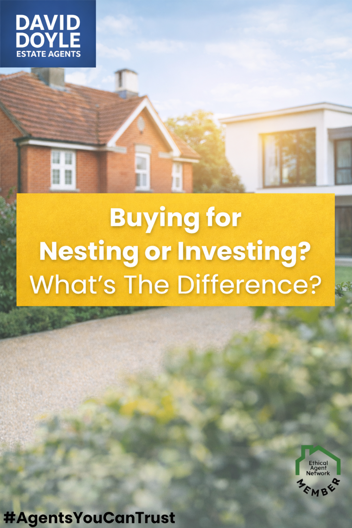 Full width project banner image