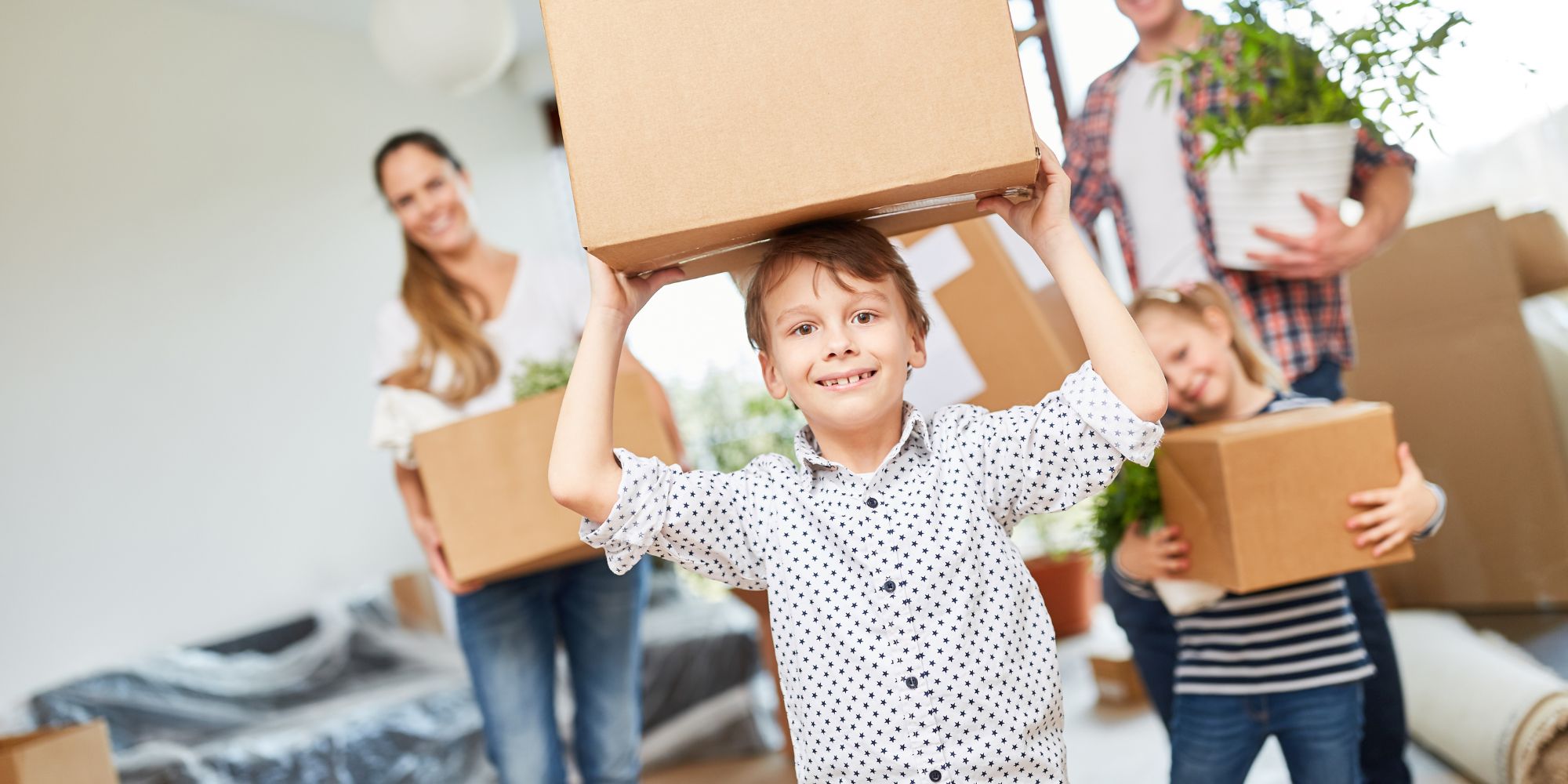 Full width project banner image