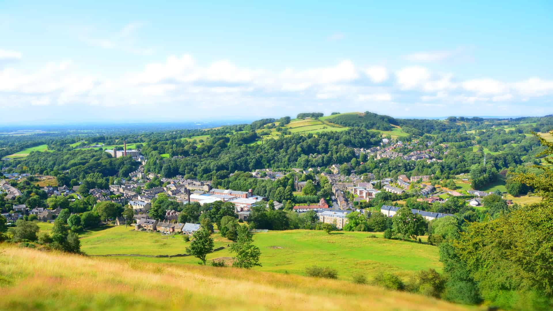 Full width project banner image