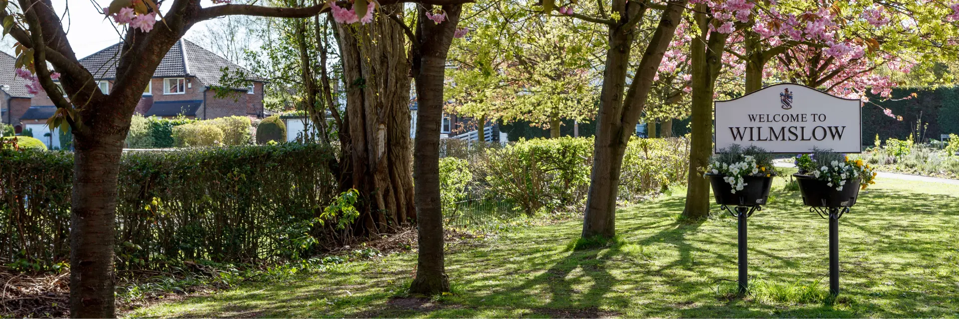 Full width project banner image