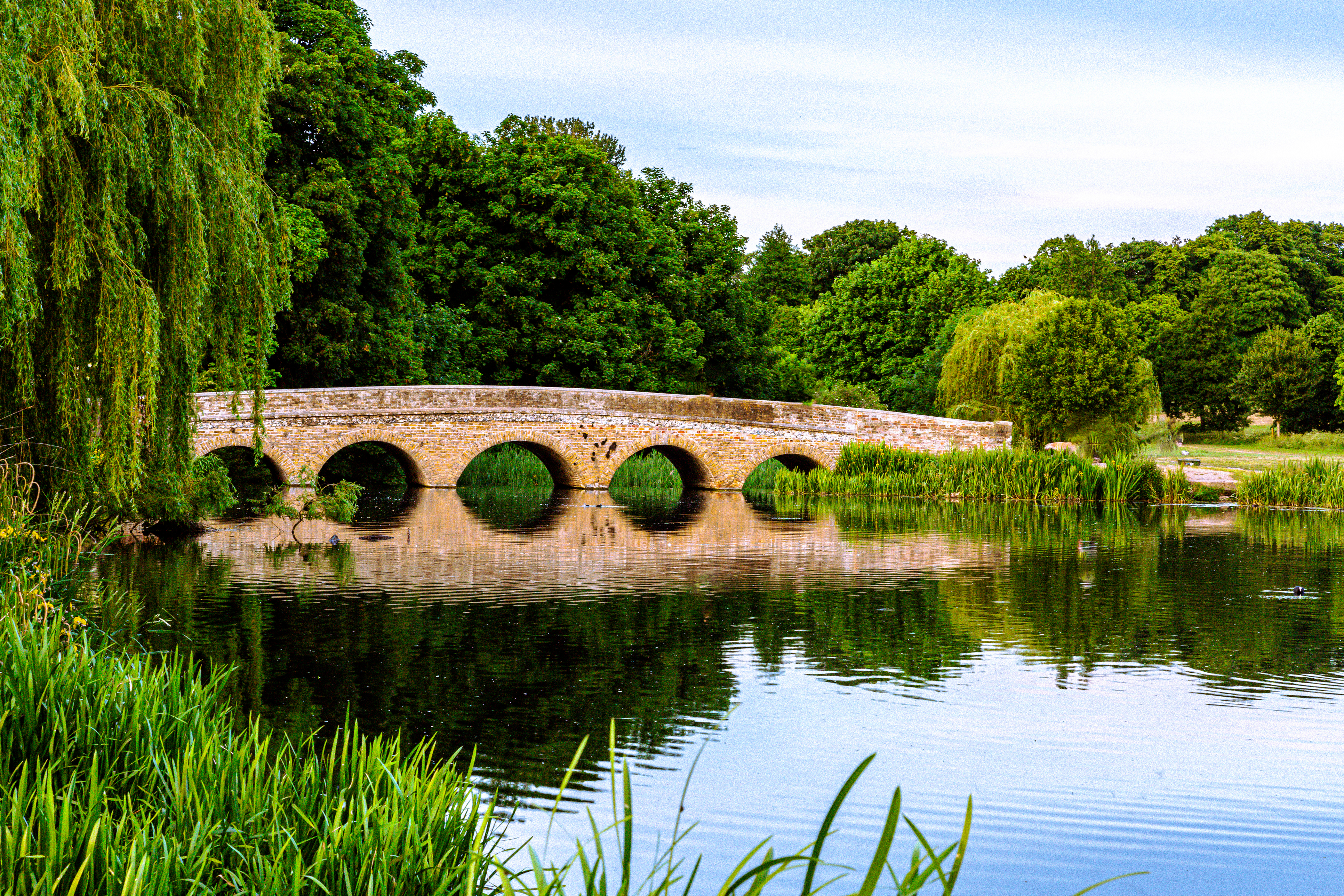 Full width project banner image